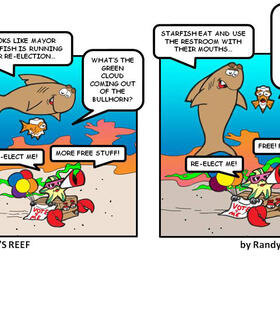 Coral's Reef by Randy Denman