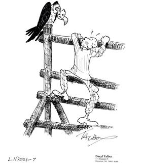 Buzzard course