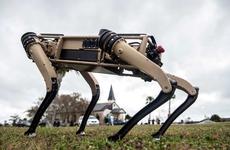 A robot dog stands on the grounds of Tyndall Air Force Base, Fla., during a demonstration held Nov. 10, 2020.