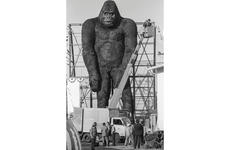 King Kong
