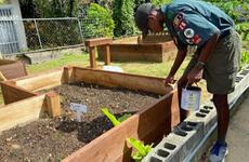 For his Eagle Scout project, Nijrell Jackson turned an empty space at an Okinawa community center into a garden with rows of sweet corn, carrots, daikon, radishes, cucumbers, melons and spinach.