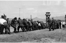 Men compete in a tug of war contest
