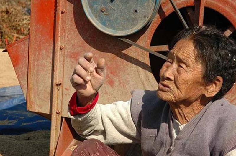 This woman, who was threshing rice, remembers helping to bury eight South Korean soldiers on a nearby hill. She says no one ever came to claim them.