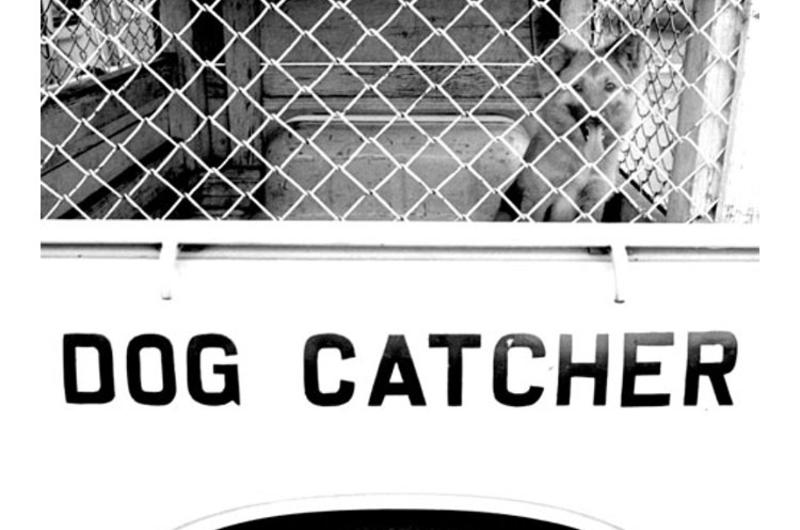 Yokohama dog catcher Takashi Ozawa and some of his business associates.