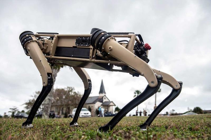 A robot dog stands on the grounds of Tyndall Air Force Base, Fla., during a demonstration held Nov. 10, 2020.