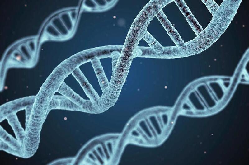 Strands of DNA are seen in this artist’s rendition.
