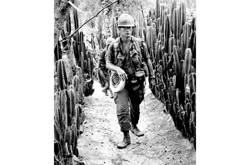 An artillery forward observer walks along a path through tall cacti in a lesser-seen area of South Vietnam.