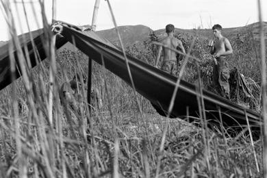 U.S. Marines take a rest in the tall grass on Go Noi Island.