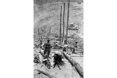 An unidentified African American soldier looks out over the desolate and torn-up landscape of Hill 937 of Dong Ap Bia, better known to Americans as Hamburger Hill.