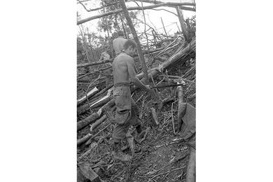 Engineers chopping logs to make a trail to landing zone.