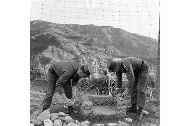Hilltop home of PFC Teddy Arnold (left) and SP/5 John Copas gets an added touch - a barbecue pit. It's somewhat out of season now, but summer isn't too far off.