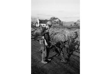 Cavalrymen sweep the road for mines with a mine detector.