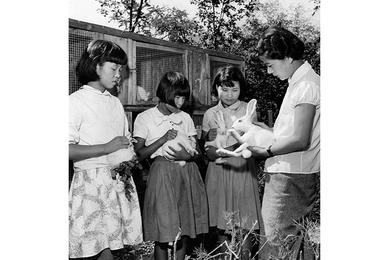 PROPER MANNER in which to handle rabbits is shown by Kyung Sook Ko, of USOM, to young girls at the orphanage.