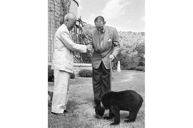 GOOD-WILL GIFT - Ellis O. Briggs (right), U.S. ambassador to South Korea, accepts a bear cub from President Syngman Rhee in a recent ceremony at Seoul.