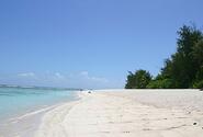 The beach at the Ritidian Unit of the Guam National Wildlife Refuge.